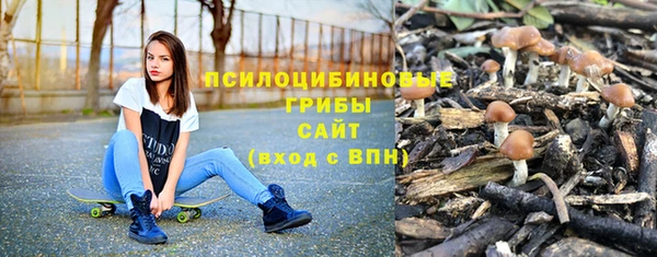 сатива Алзамай