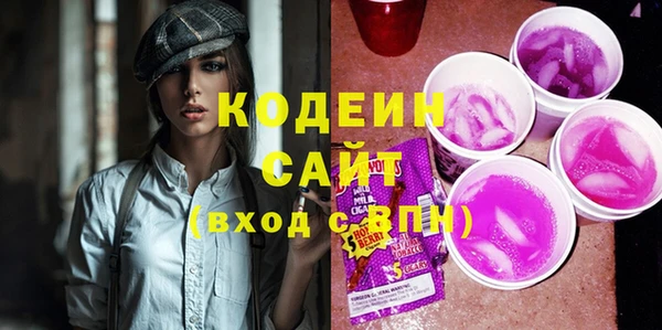 крисы Корсаков