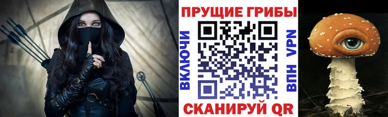 Галлюциногенные грибы GOLDEN TEACHER  Оленегорск 