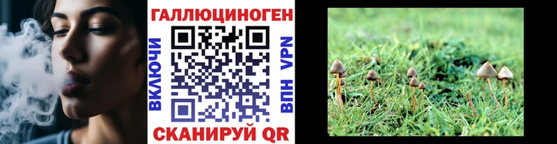 Псилоцибиновые грибы Psilocybine cubensis Оленегорск